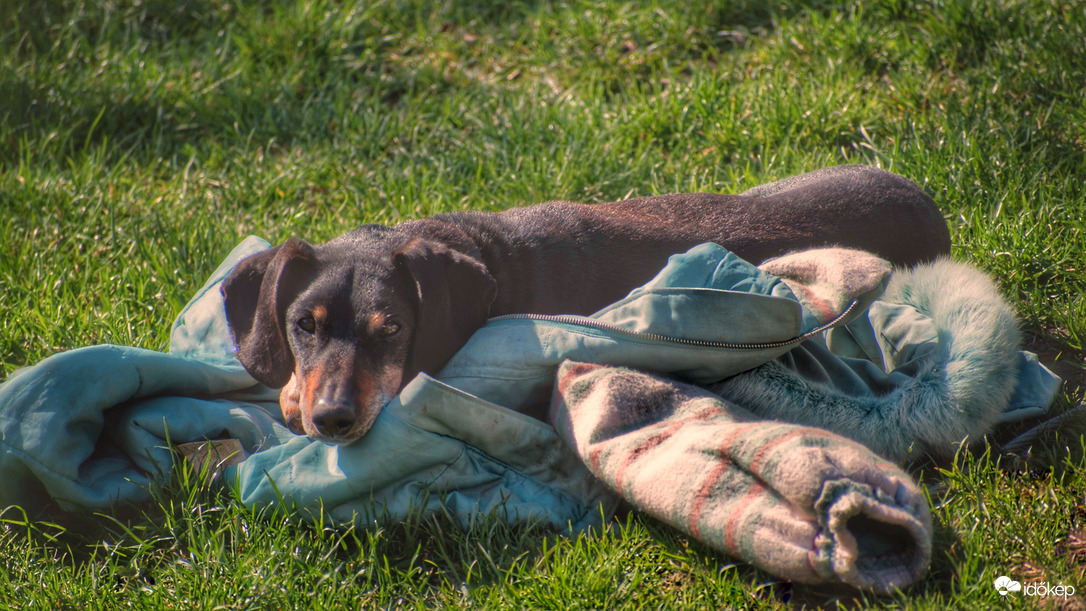 Még elkél a meleg kabát