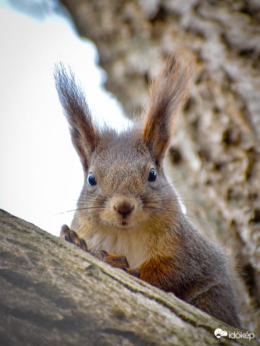 Boldog új évet kívánunk!