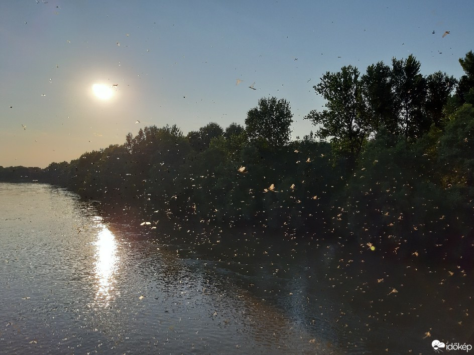 Észlelési fényképek