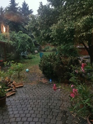 Ostoros