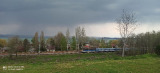 Balatonszárszó