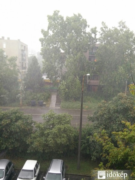 Észlelési fényképek