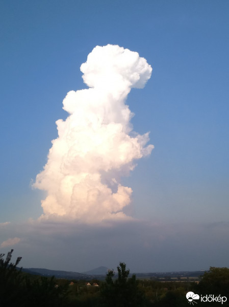 Észlelési fényképek