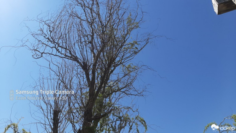 Észlelési fényképek