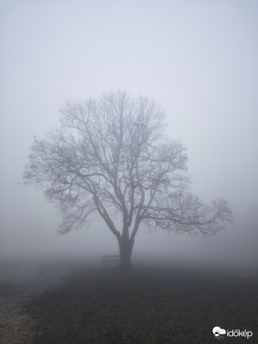 Budapest XII.ker - Normafa