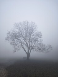 Budapest XII.ker - Normafa