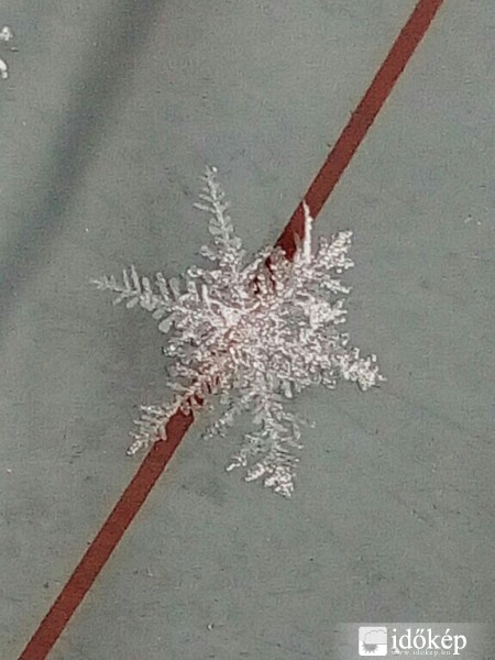 Észlelési fényképek