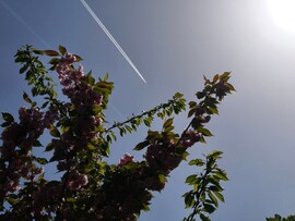 Budapest III.ker - Békásmegyer