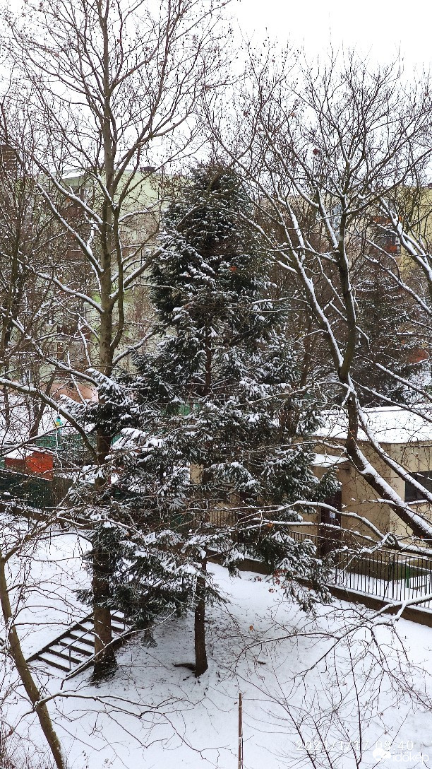 Veszprém
