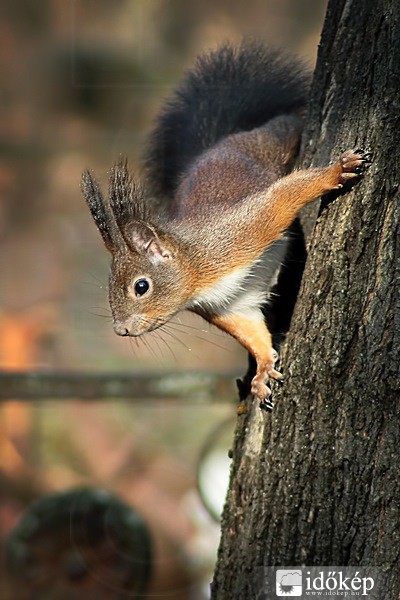 Már itt sem vagyok...