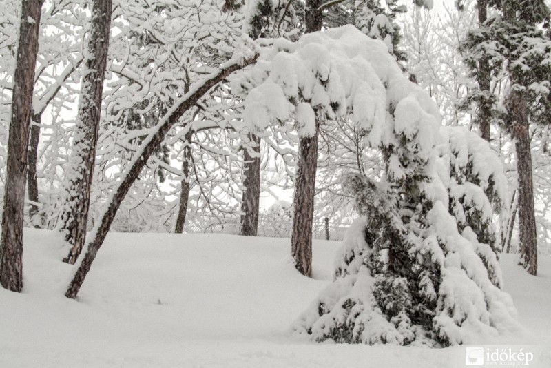 Veszprém és a tél_04