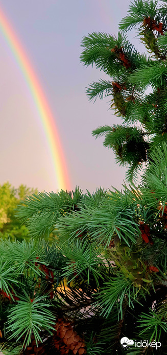 Esti szivárvány ❤️