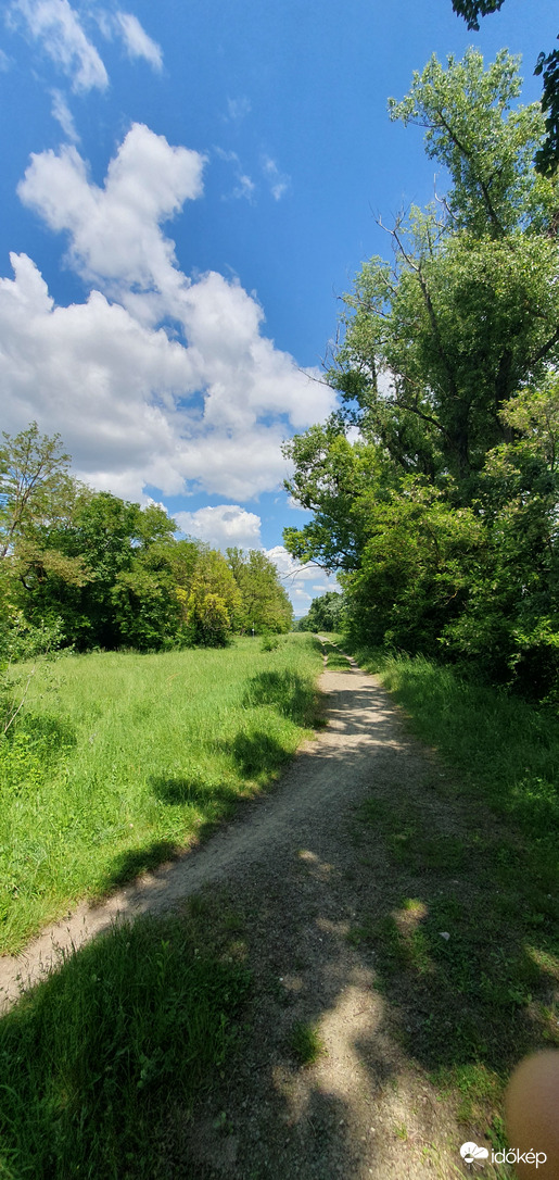 Útra fel csoda vár ránk! ❤️