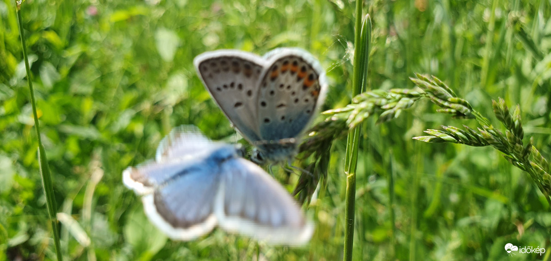 Szépek együtt! ❤️