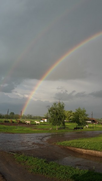 zápor után