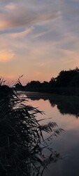 Tiszavasvári