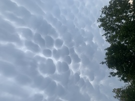 Mammatus