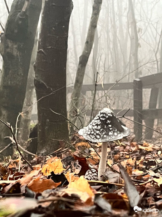 Budapest V.ker - Lipótváros