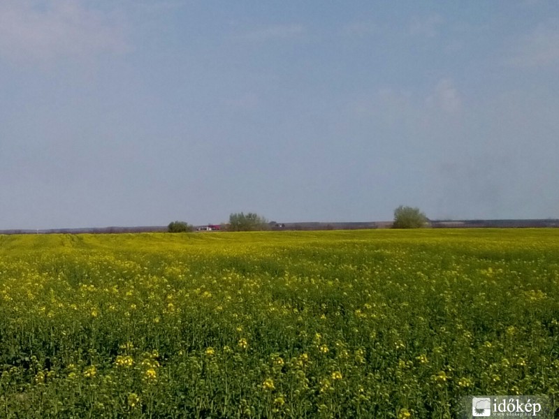 Észlelési fényképek