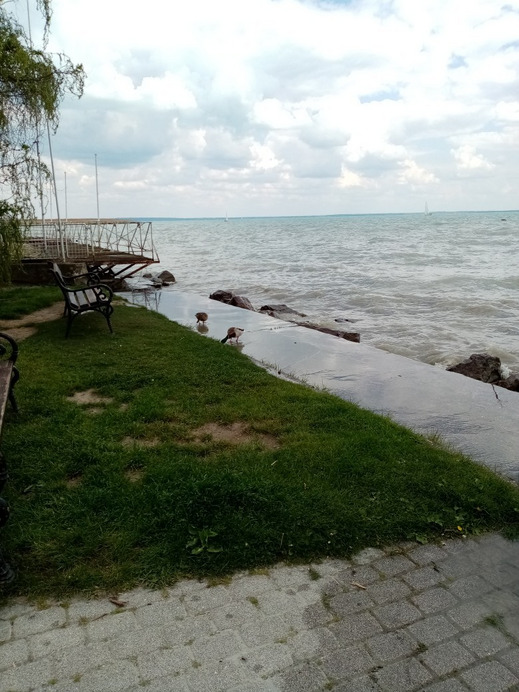 Balatonfűzfő