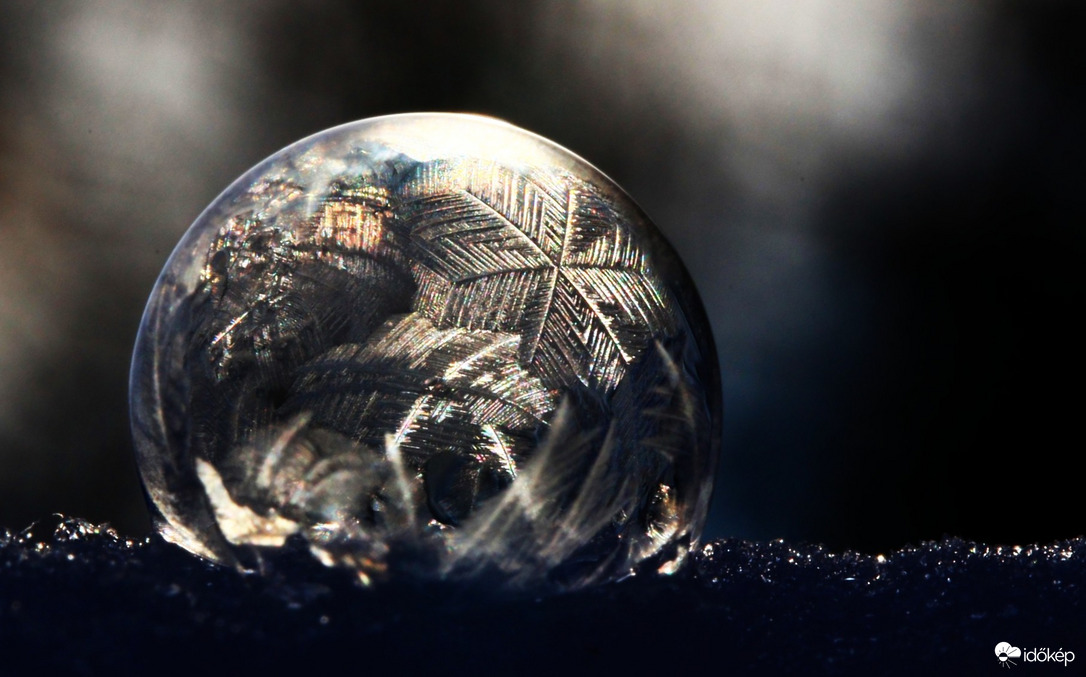 Törékeny szépség