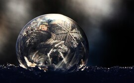 Törékeny szépség