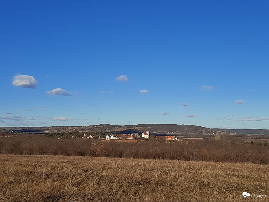 Szétszéledt a nyáj