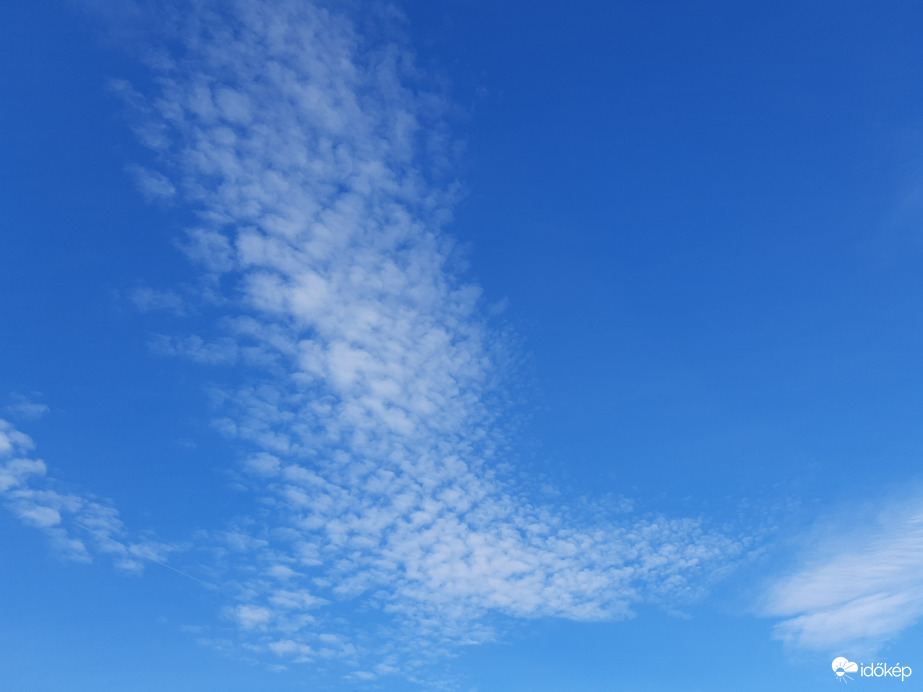 Bárányok libasorban