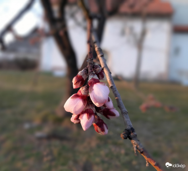 Feslőben