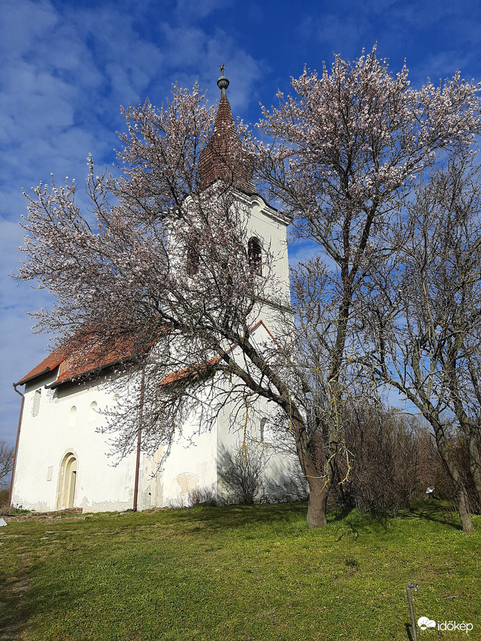 Zánka