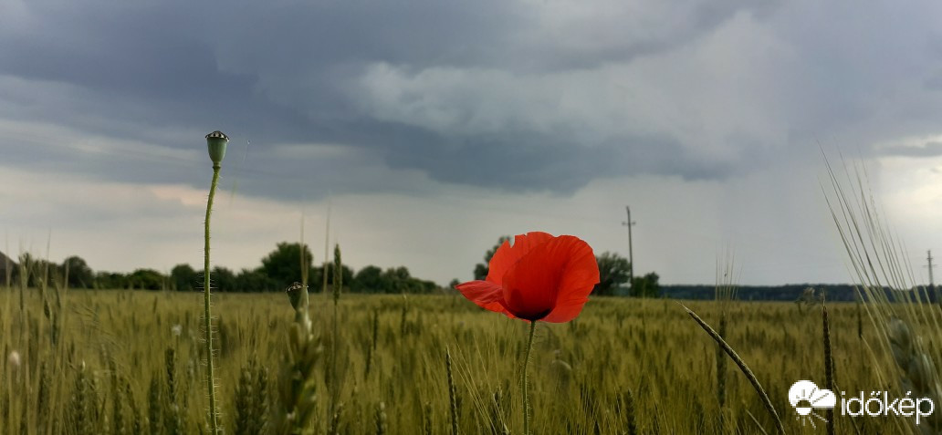 Bakonypölöske