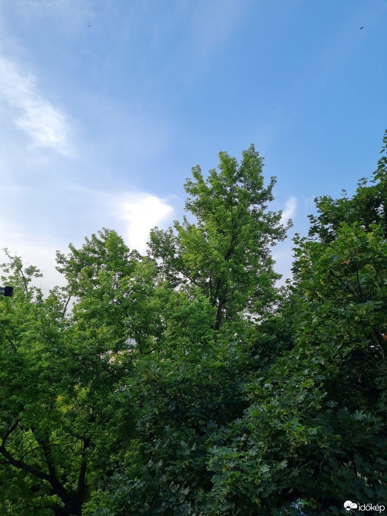 Hódmezővásárhely