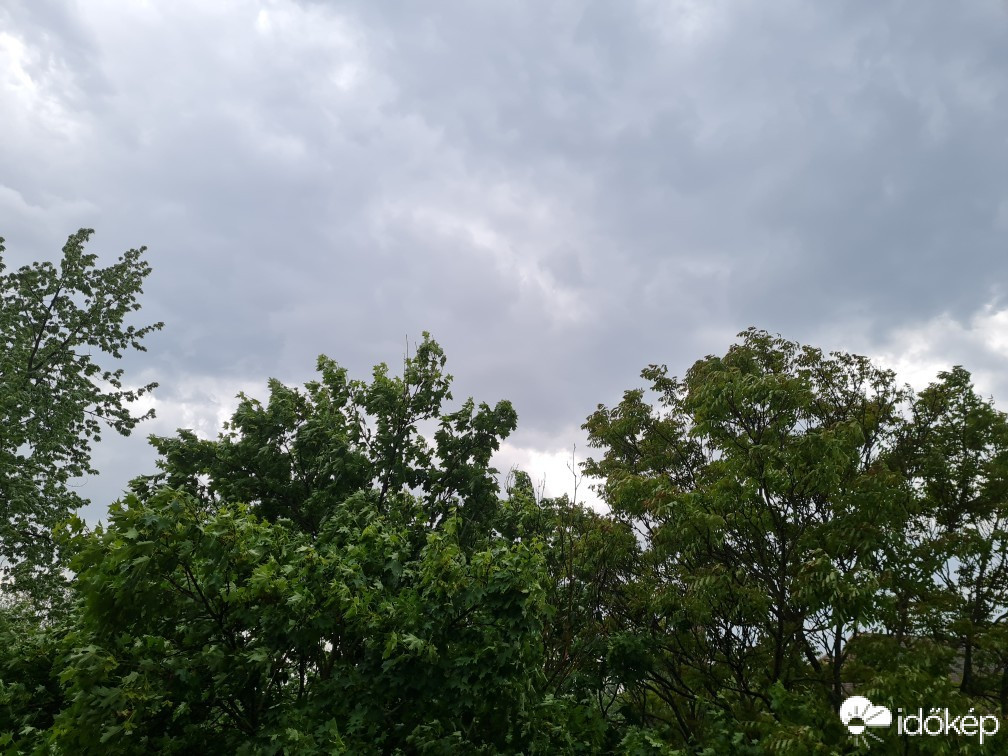 Hódmezővásárhely