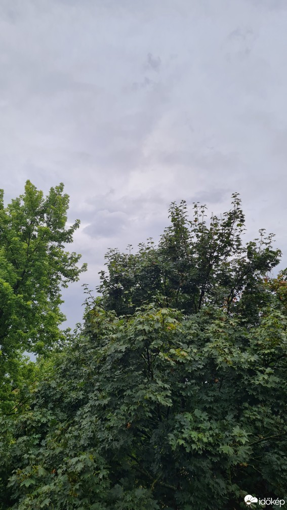 Hódmezővásárhely