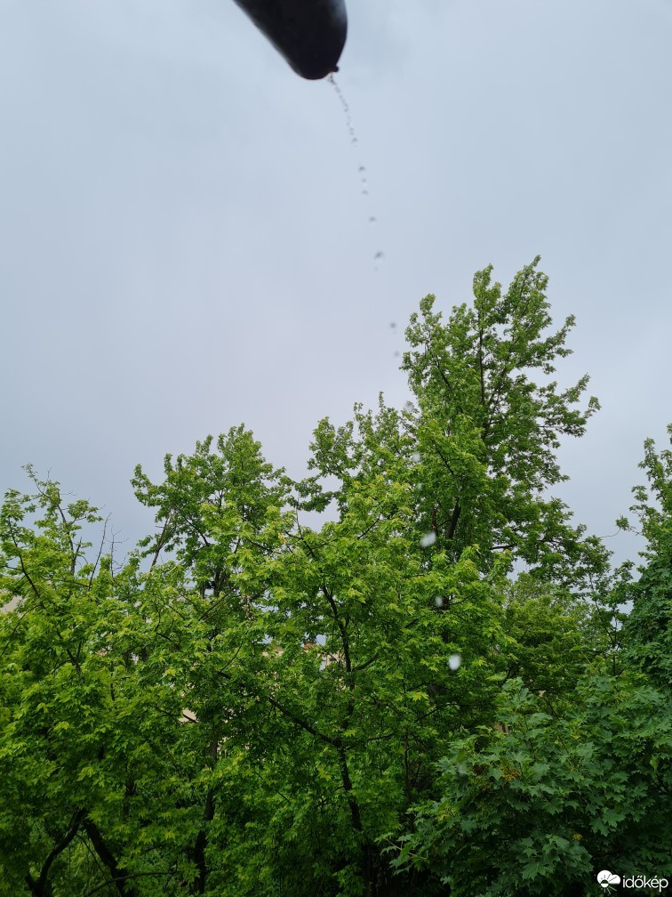 Hódmezővásárhely