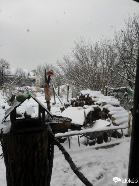 Észlelési fényképek