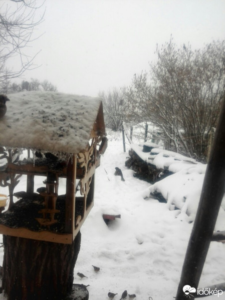 Észlelési fényképek