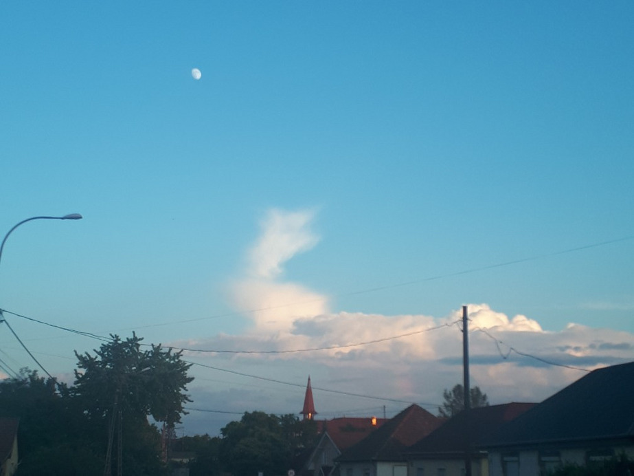 Észlelési fényképek