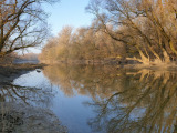 Komárom