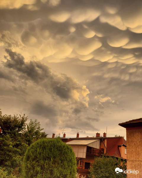 Észlelési fényképek