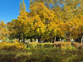 Budapest XIX.ker - Kispest