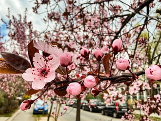 Budapest XIX.ker - Kispest