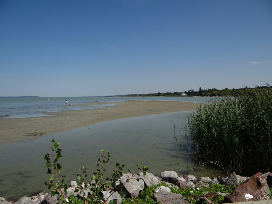 Természet