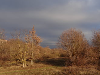 Ma délutáni fények 