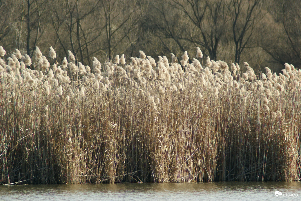 Orfű Herman Ottó tó 