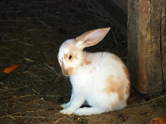 Ilyen időben semmihez sincs kedve 