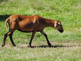 Igyekeznem kell mert lemaradok 