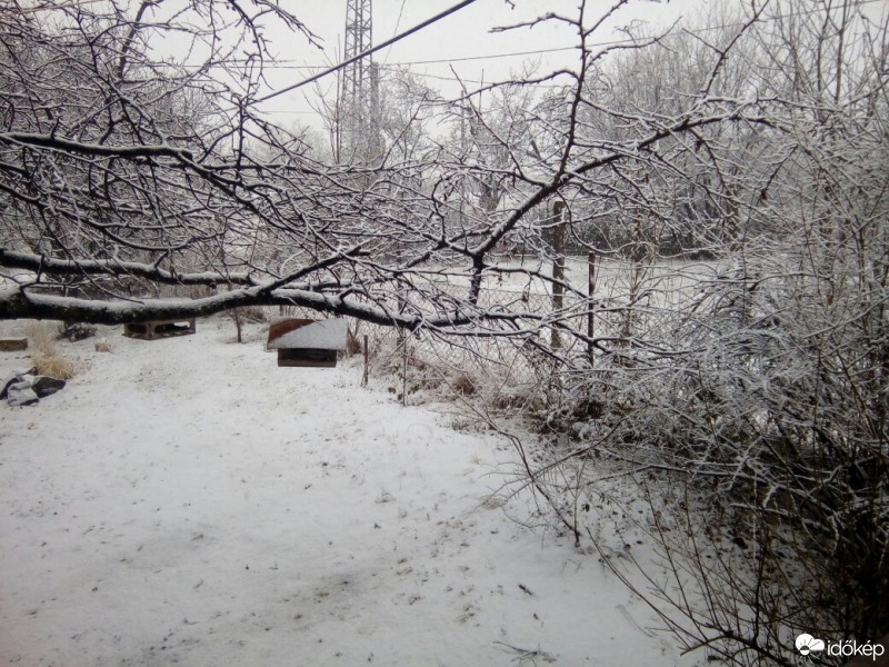 Észlelési fényképek