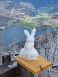 Bohinj - Vogel