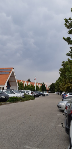 Kehidakustány